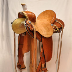 Will James Modified 02