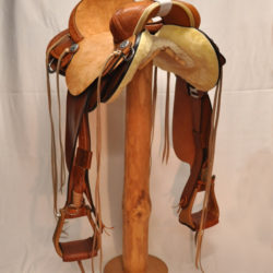 Will James Modified 02