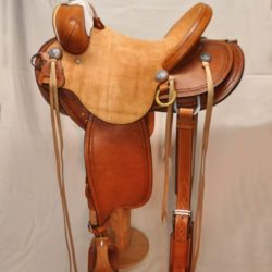 Will James Modified 02