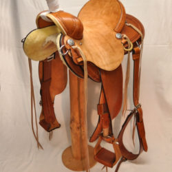 Will James Modified 02