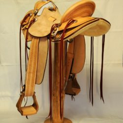 Modern Vaquero No.35