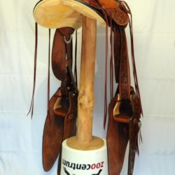 Modern Vaquero No.39