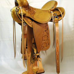 Will James Modified 05