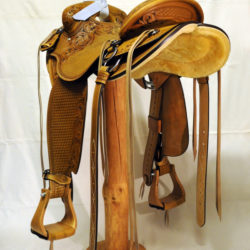 Will James Modified 05