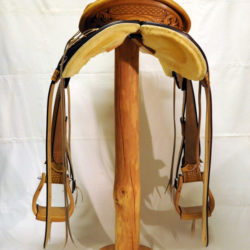 Will James Modified 05