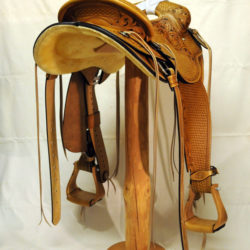 Will James Modified 05