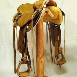 Will James Modified 05