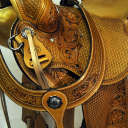 Will James Modified 05