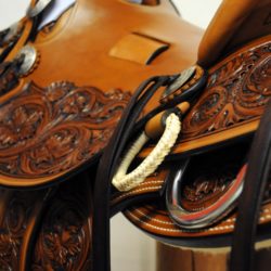 Modern Vaquero No.45