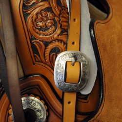 Modern Vaquero No.47