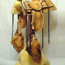 Western Dressage No.008