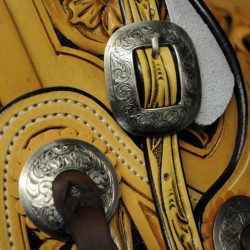 Western Dressage No.008