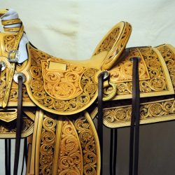 Western Dressage No.008