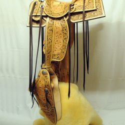 Western Dressage No.008