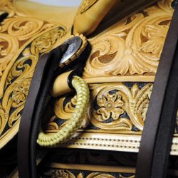 Western Dressage No.008