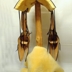 Western Dressage No.008