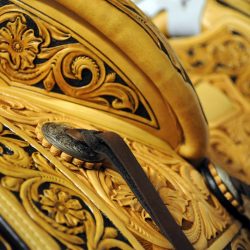 Western Dressage No.008