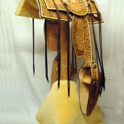 Western Dressage No.008