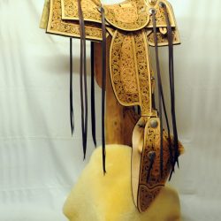 Western Dressage No.008