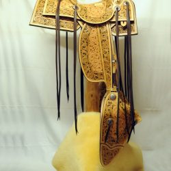 Western Dressage No.008