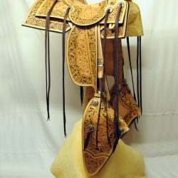 Western Dressage No.008