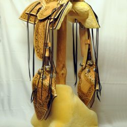 Western Dressage No.008