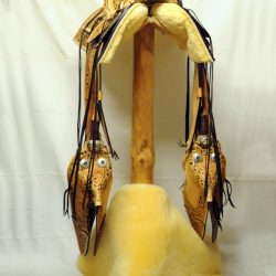 Western Dressage No.008