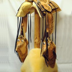 Western Dressage No.008