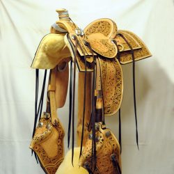 Western Dressage No.008