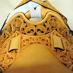 Western Dressage No.008