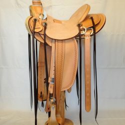 Modern Vaquero No.50