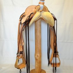 Modern Vaquero No.50