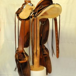 Modern Vaquero No.53