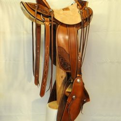 Modern Vaquero No.53