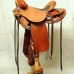 Will James Modified 07