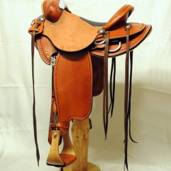 Will James Modified 07