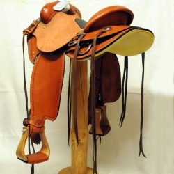 Will James Modified 07