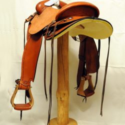 Will James Modified 07