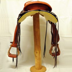 Will James Modified 07