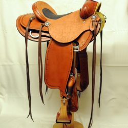 Will James Modified 07