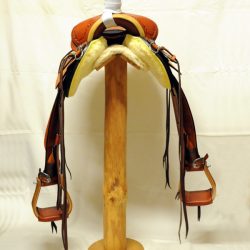 Will James Modified 07