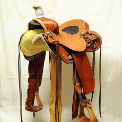 Will James Modified 07