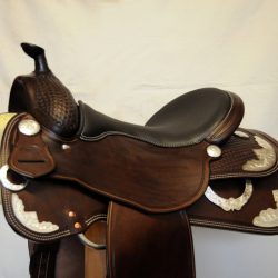 Show Horsemanship 01