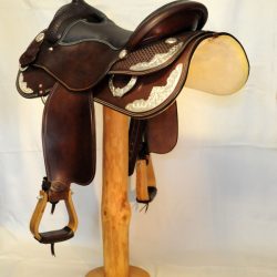 Show Horsemanship 01