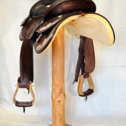 Show Horsemanship 01