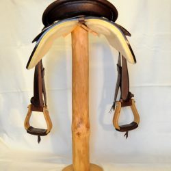 Show Horsemanship 01