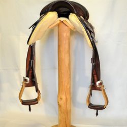 Show Horsemanship 01