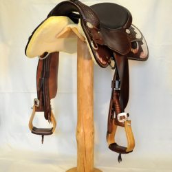 Show Horsemanship 01