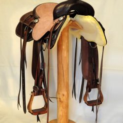 Cowhorse TB