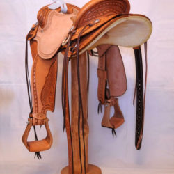 Will James Modified 08